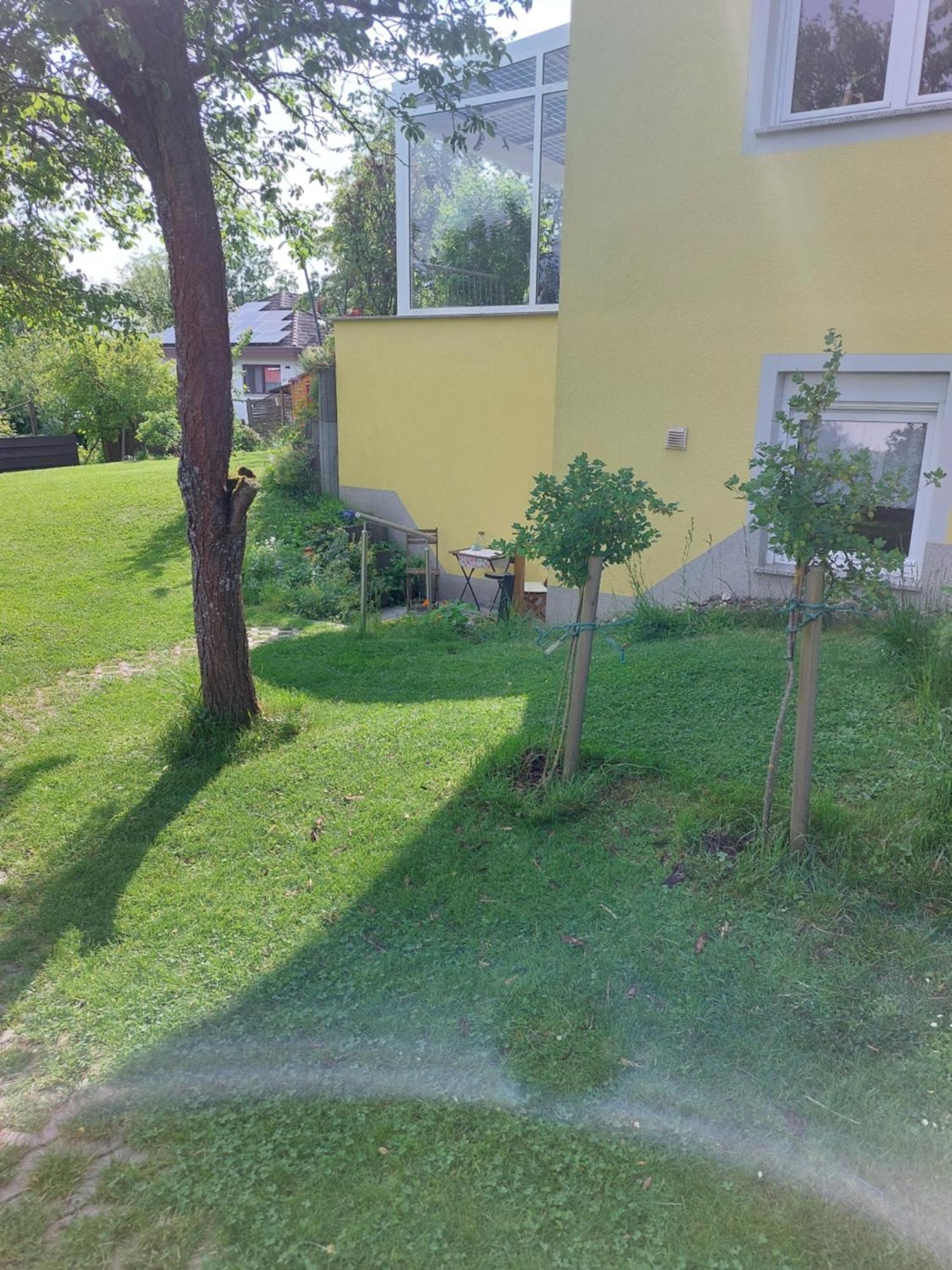 バート・ローダッハGelbes Haus Heldrittアパートメント エクステリア 写真
